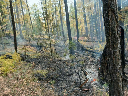 Завхан аймгийн Их-Уул суманд гарсан ойн түймрийн бүрэн унтраалаа
